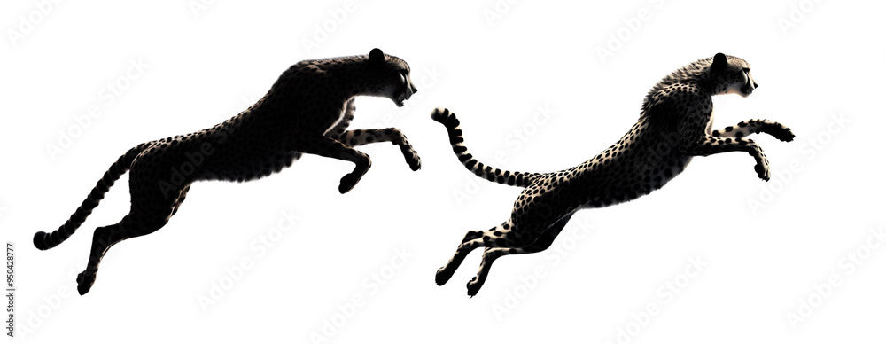 Silhouettes of Cheetahs jumping on a white background Silhouettes of Cheetahs jumping on a white background