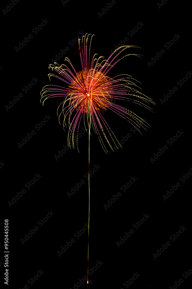 colourful firework display set for celebration happy new year and merry christmas and fireworks on black background