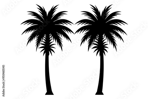 Palm Tree Silhouettes Two Types Vector Art