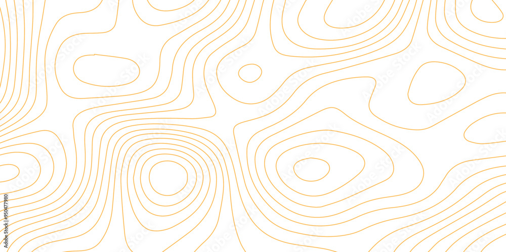 Fototapeta premium Abstract wave paper curved reliefs background .gradient multicolor wave curve lines banner background design .topographic contours map background .Vector geographic contour map.
