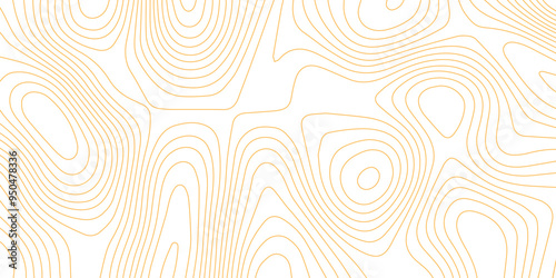 Abstract wave paper curved reliefs background .gradient multicolor wave curve lines banner background design .topographic contours map background .Vector geographic contour map.