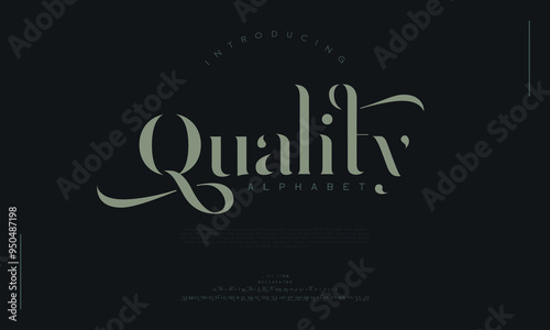 Elegant luxury  alphabet letters font and number. Classic Lettering Minimal Fashion Designs. Typography modern serif fonts regular decorative vintage concept. vector illustration
