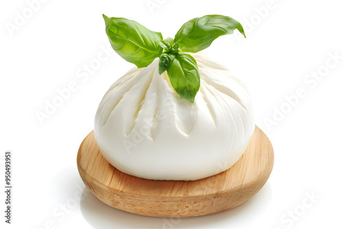 Fresh piece burrata cheese with basil close up isolated on white background 