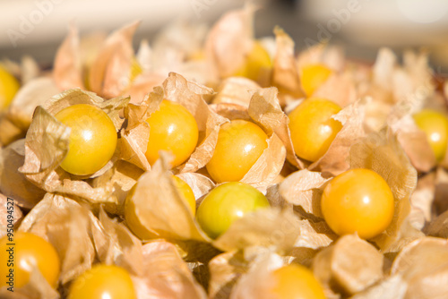 Konstfotografi Physalis close-up. Selective focus.