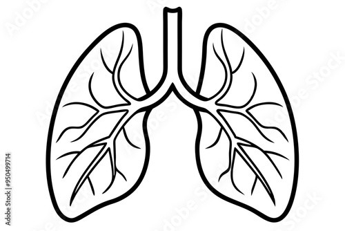 Human lungs line art vector illustration 
