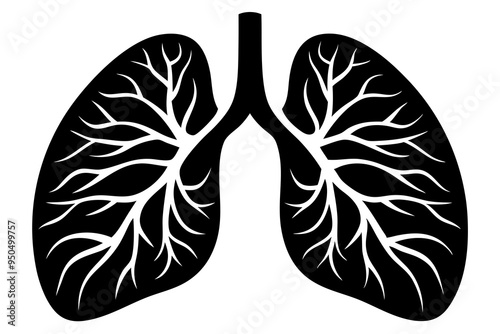 Human lungs silhouette vector illustration
