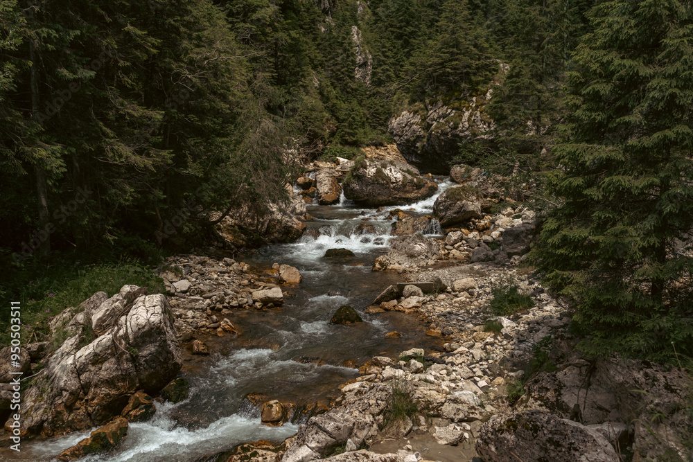 mountain river in the forest mountain river in the forest