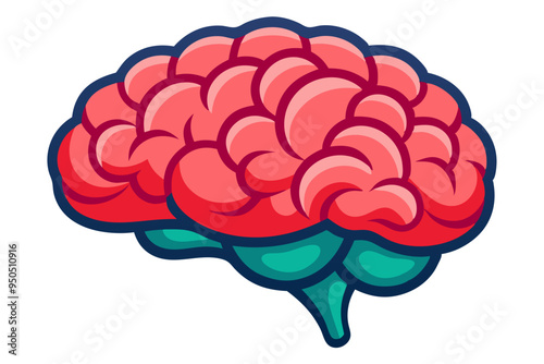 Human brain vector  illustration

