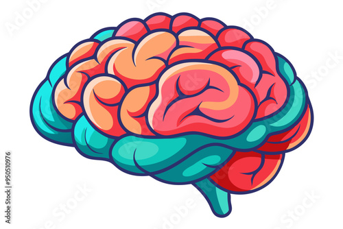 Human brain vector  illustration
