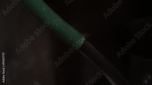 Close-up of water flowing from a green hose.