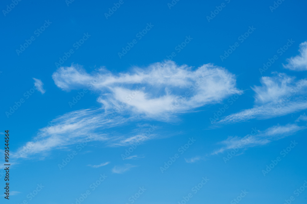 Fototapeta premium Blue sky and fluffy white clouds looking a bit like a bird shape.