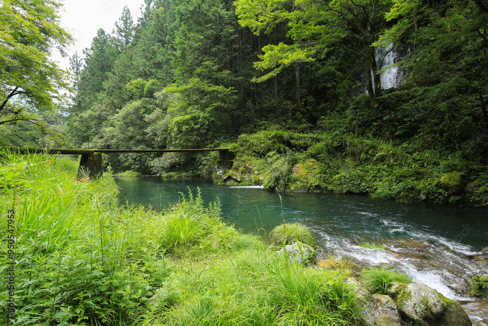 高知県越知町　堂林の滝