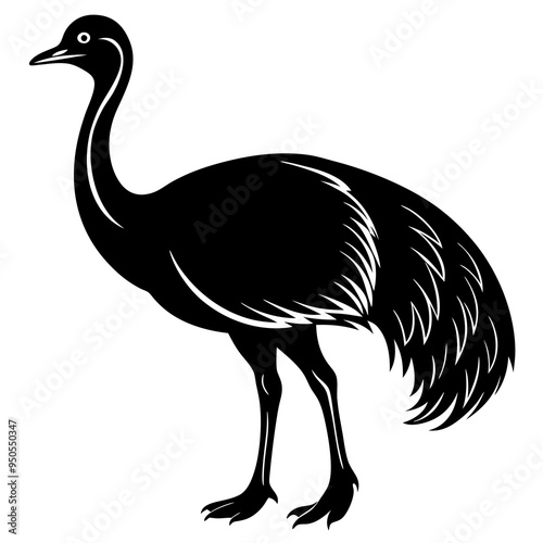 ostrich cartoon isolated on white background