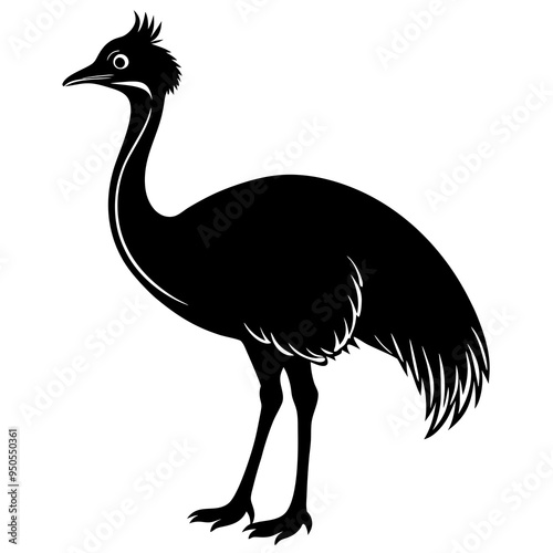 ostrich isolated on white background