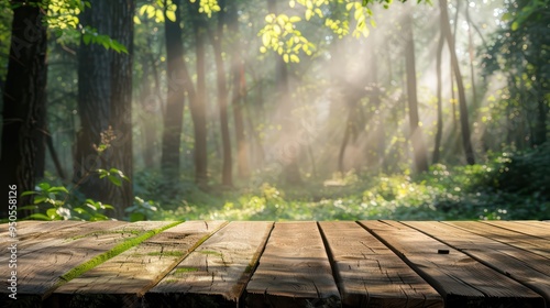 Serene forest scene with sunlight streaming through trees, illuminating a wooden surface, perfect for nature-inspired designs.