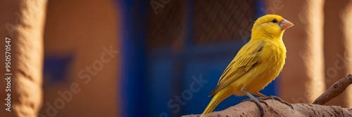 Obraz na płótnie A yellow canary perched on a wooden branch in front of a colorful blue architecture w salonie