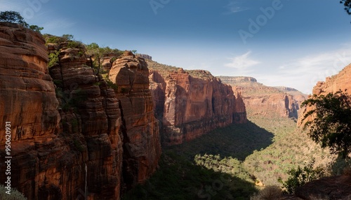 canyon wall with trees