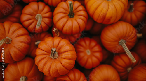 Top-down view of tightly grouped pumpkins. Pumpkins from vegetable garden, Farmers market. Pumpkins for sale at the market. Banner, background with colorful pumpkins. Healthy eating. Healthy food