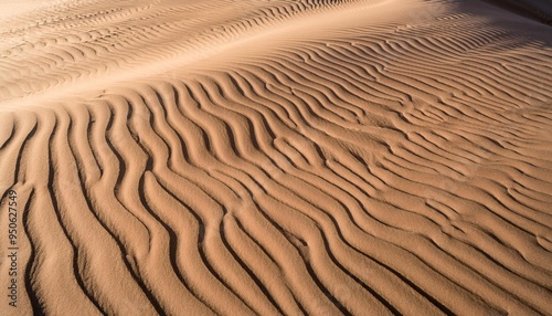 texture fine sand like sea ripples photo