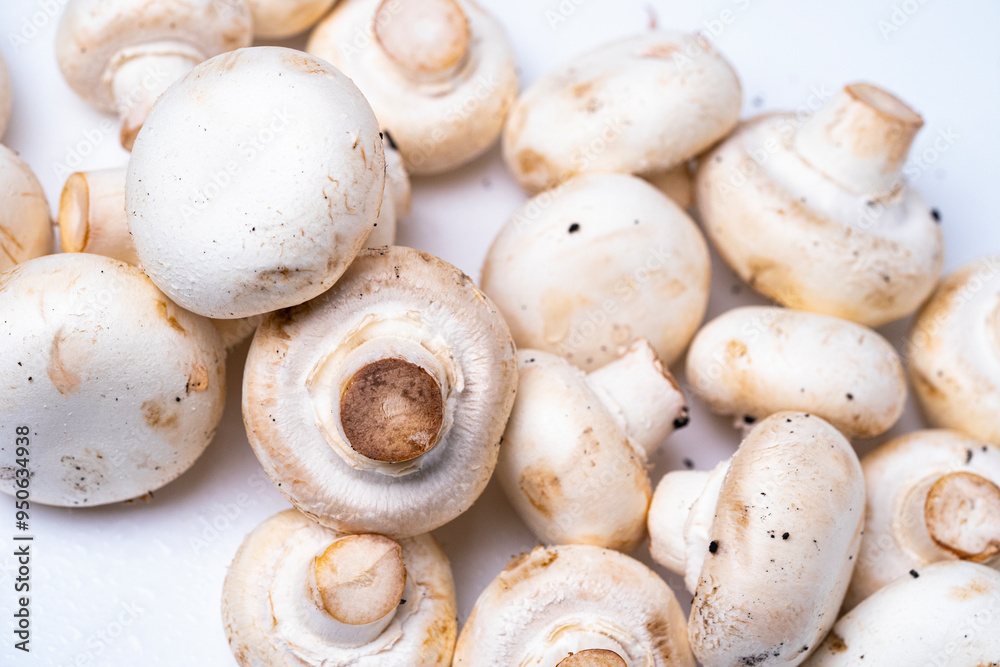 various fresh mushrooms on white background healthy and delicious to create delicious chef food dishes various fresh mushrooms on white background healthy and delicious to create delicious chef food dishes