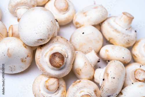 various fresh mushrooms on white background healthy and delicious to create delicious chef food dishes