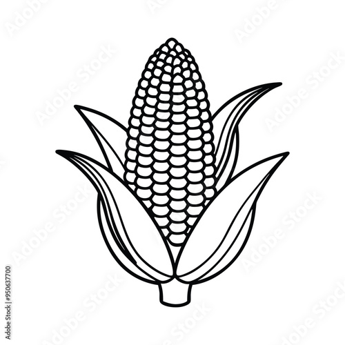 Corn  icon vector lineout  illustration on white background.