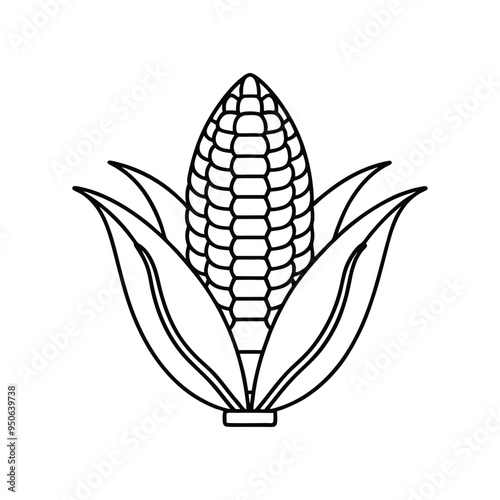 Corn  icon vector lineout   on white background.