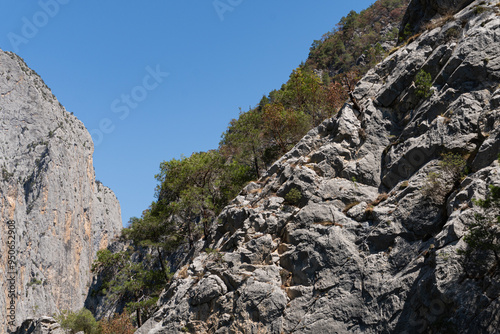 Vezirköprü Şahinkaya  canyon grown trees on the hills, Turkey, horizontal. Vezirköprü Şahinkaya Canyon Hill View, Turkey, Samsun.
