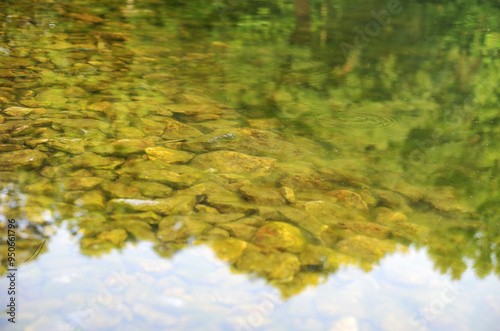 Reflection on clear water, pond, stones, greenery, nature, not deep, nature reserve, summer, bright colors, France, Europe