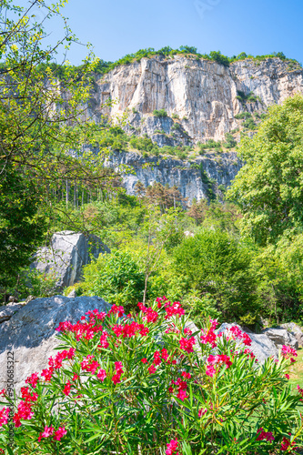 Landscape view of a huge cliff with vibrant red flowers in the foreground in Montalbano boulder park near the village of Mori, Autonomous Province of Trento, Italy photo