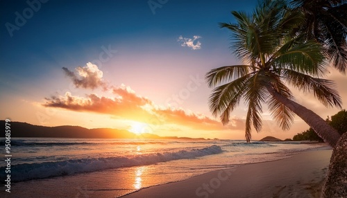 beautiful sunset at a tropical beach with palm tree