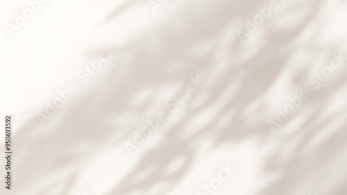 Abstract silhouette shadow white background of natural leaves tree branch falling on wall. Transparent blurry shadow leaf in morning sun light. Copy space for text.