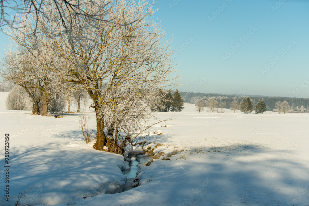 Winter landscape in the German Alps
Winter landscape in the German Alps
