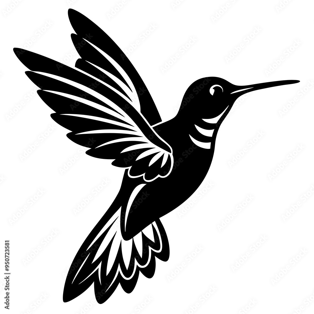 Obraz premium hummingbird vector illustration