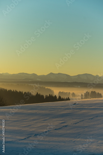  Golden hour in the German Alps in the Allgäu