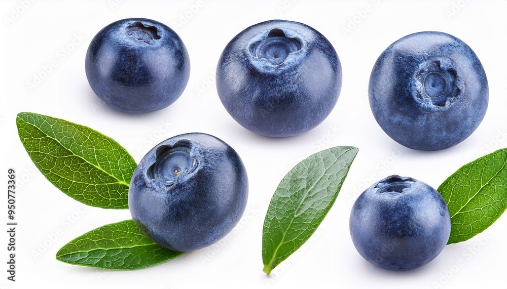 Set of Blueberry and leaves, isolated on white background Set of Blueberry and leaves, isolated on white background