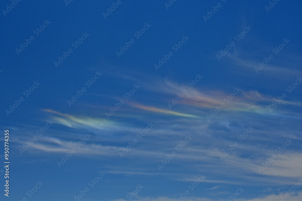 Rainbow clouds usually form in cirrus clouds made of ice crystals that act as a prism with the sun at the correct angle to refract light into rainbow colors 