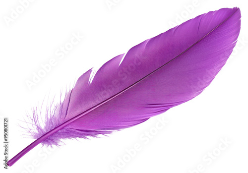 PNG Vibrant purple feather isolated