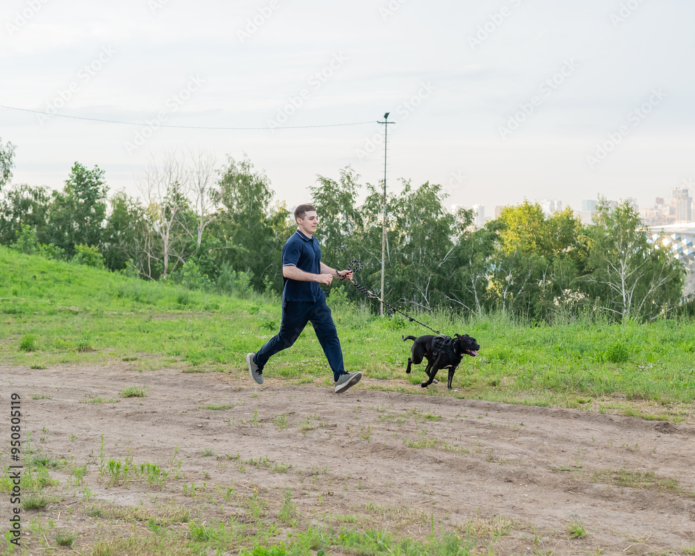 Man running with pit bull terrier outdoors. Man running with pit bull terrier outdoors.