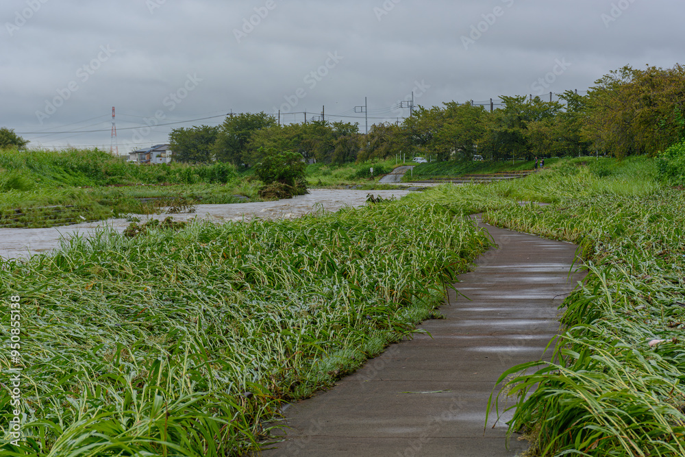 茶色く濁った水害増水した河川 茶色く濁った水害増水した河川
