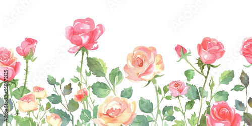 PNG Delicate watercolor roses illustration