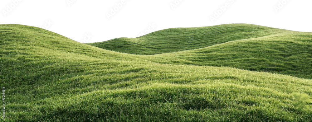 PNG Lush green rolling hills landscape PNG Lush green rolling hills landscape