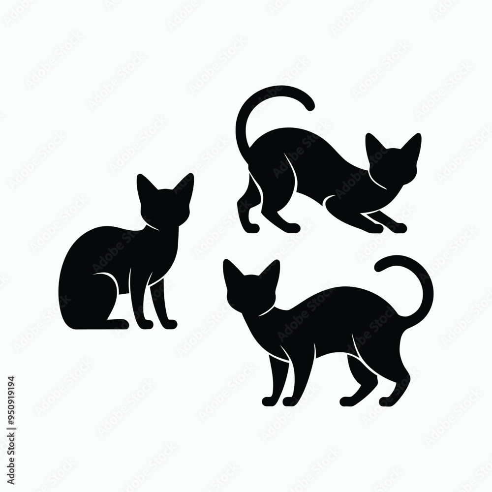 Russian Blue Cat Breed Silhouette Vector Set Animals Illustration Russian Blue Cat Breed Silhouette Vector Set Animals Illustration