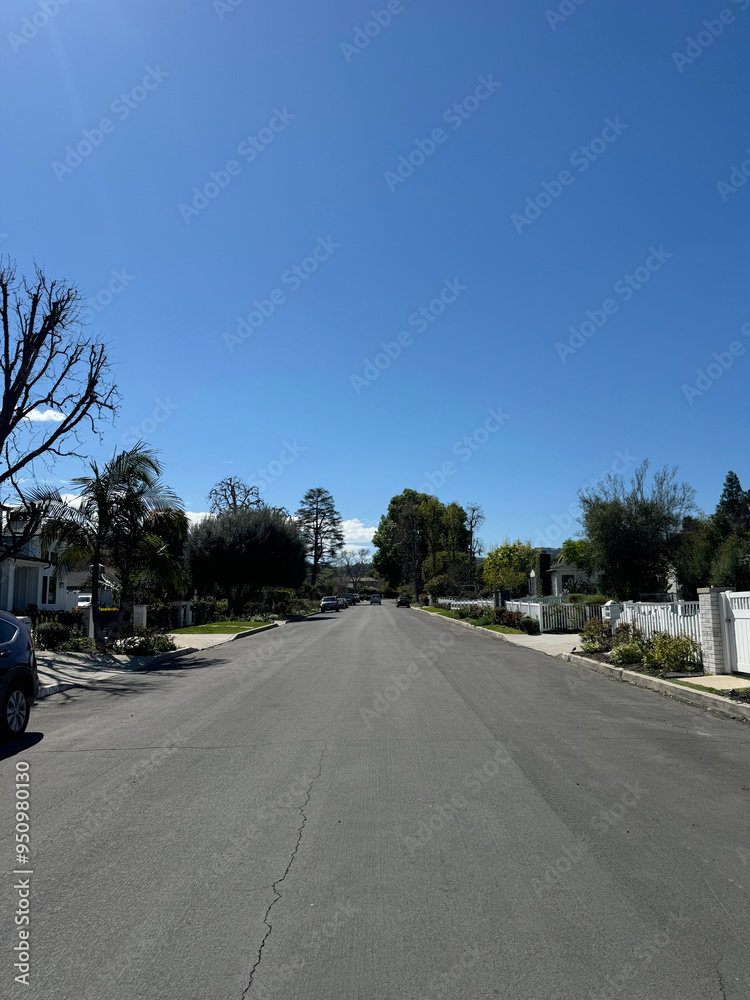 Fototapeta premium an empty residential street (driveways, houses, parked cars, trees, fences, gates) beneath a bright blue summer sky with clouds in Los Angeles - typical generic American suburb