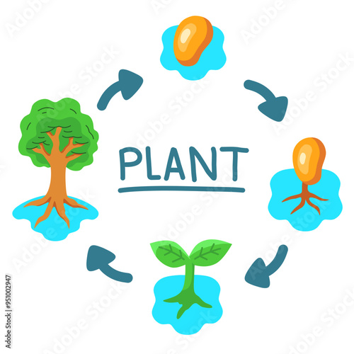 life cycle of plants, from seed to big tree illustration. biological science design concept about plants. hand drawn on white background