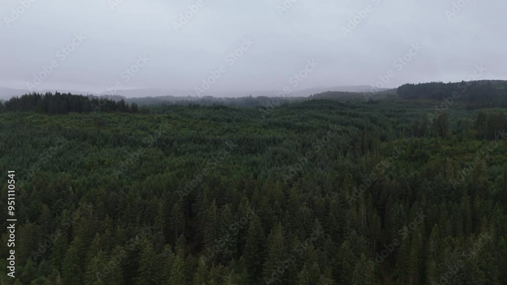Aerial view over large forest in Scotland with low clouds on rainy day Aerial view over large forest in Scotland with low clouds on rainy day