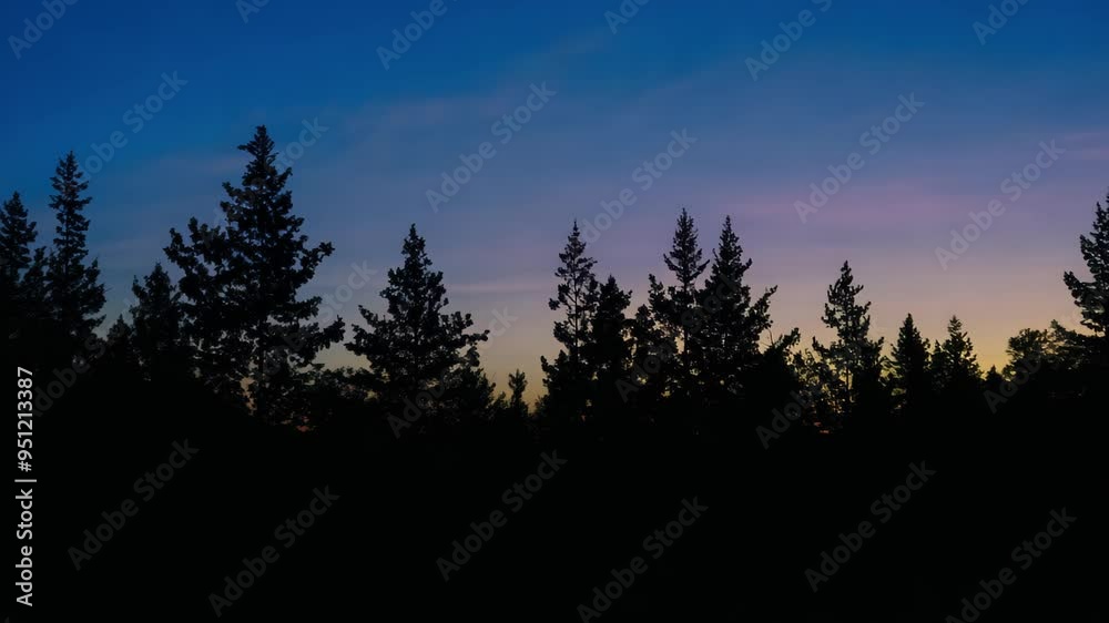 A stunning silhouette of evergreen trees contrasts with a vibrant sunset sky, showcasing a blend of pastel pinks, purples, and light oranges. Ideal for nature-themed projects and relaxation A stunning silhouette of evergreen trees contrasts with a vibrant sunset sky, showcasing a blend of pastel pinks, purples, and light oranges. Ideal for nature-themed projects and relaxation
