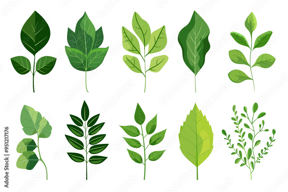 PNG leaf plant element set, transparent background PNG leaf plant element set, transparent background