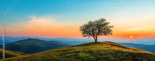 A lone tree stands atop a hill