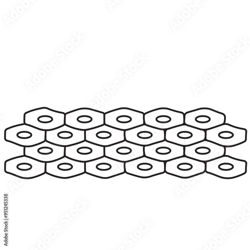 epithelium
